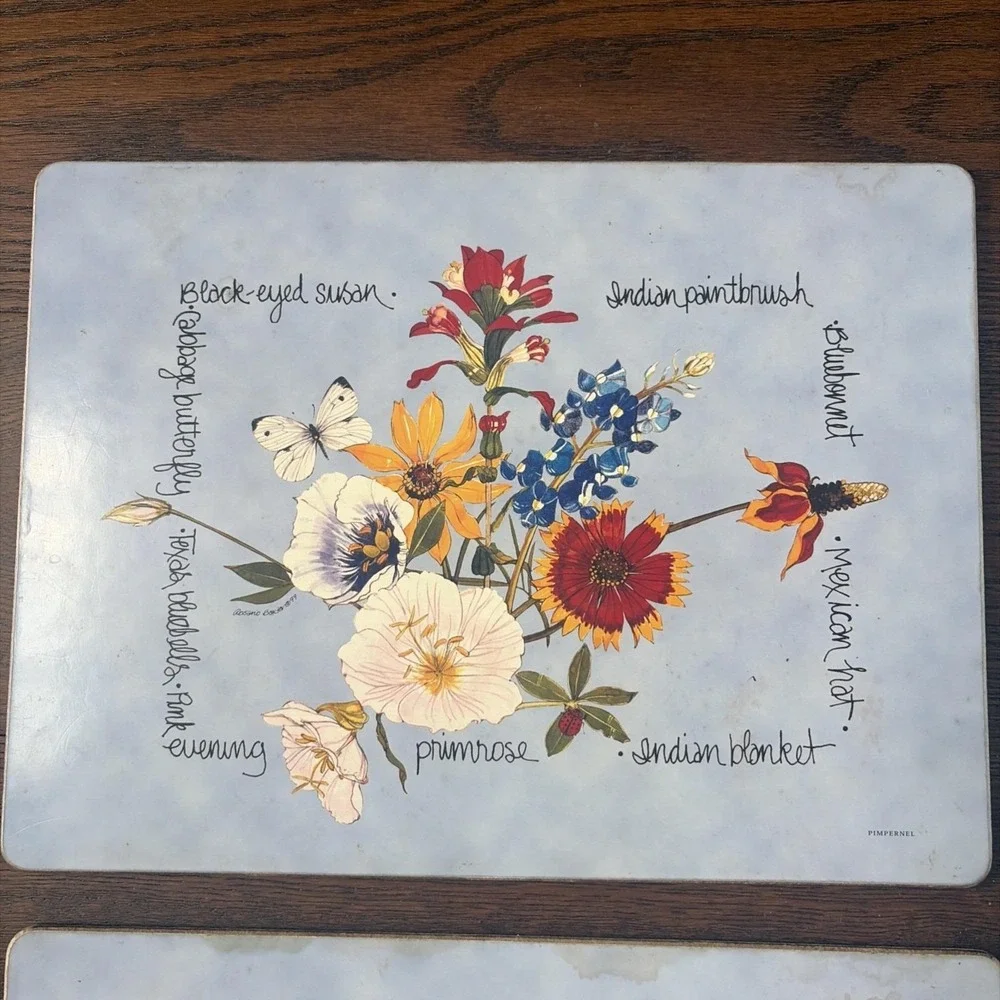 Pimpernel‎ Placemats (4) Southern Texas Wildflowers Wood Cork Used Cottagecore